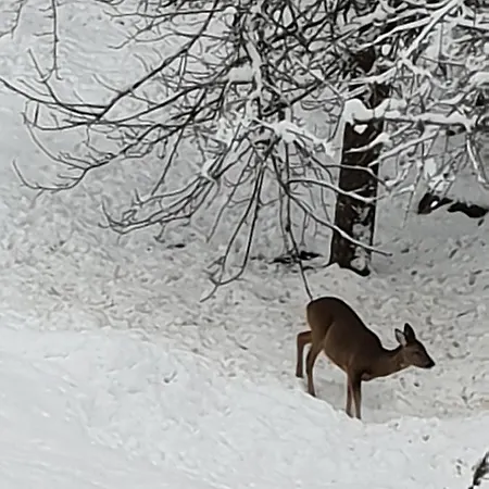 Spacieux Et Lumineux Proche Centre